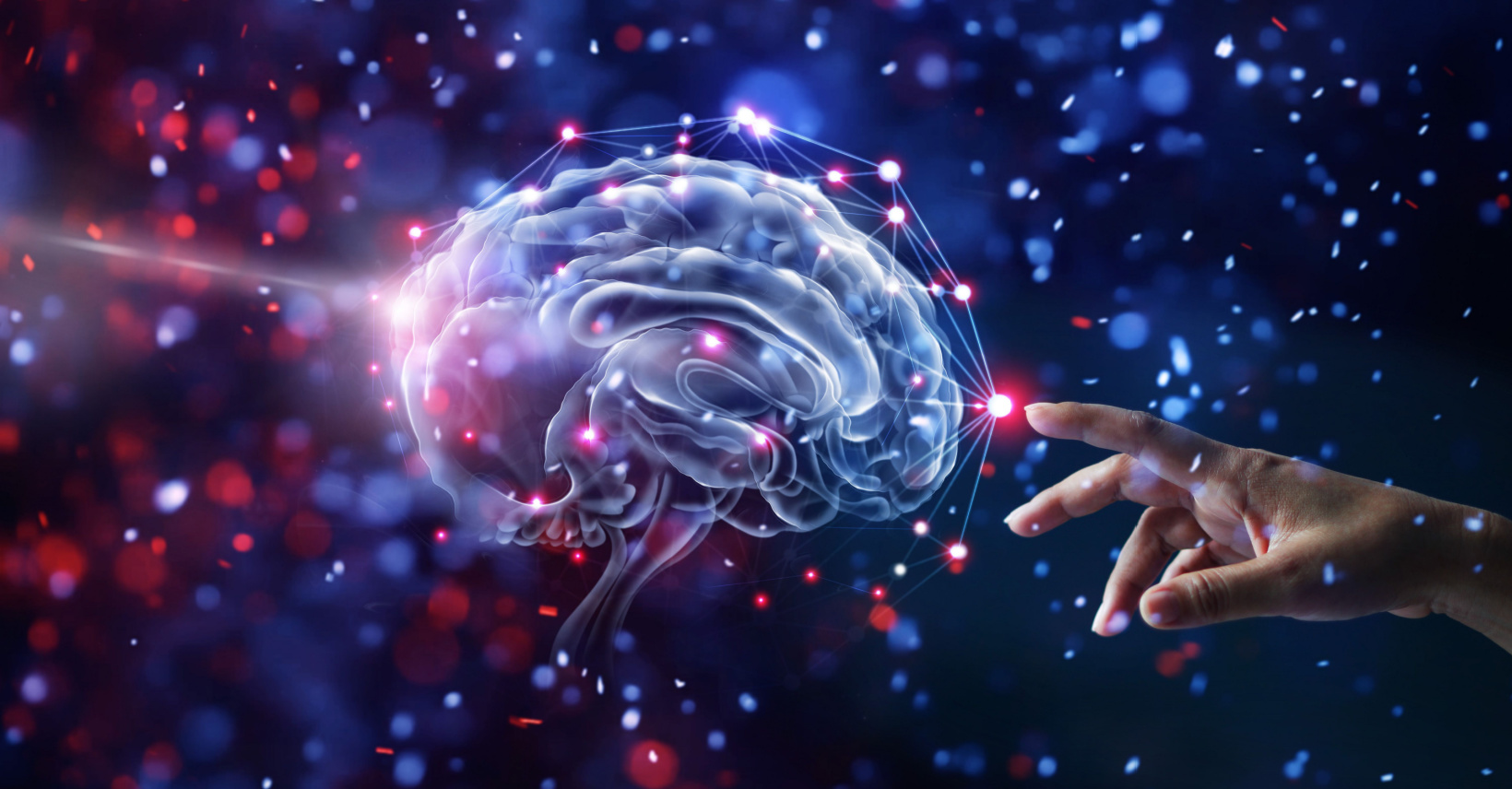 Cheap and Beneficial Nootropics: Supplements For Your Brain 