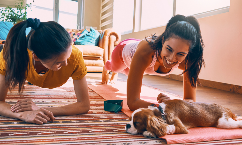 Work out from home for free