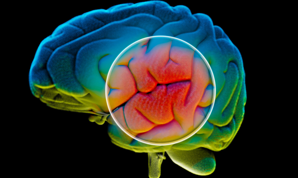 dopamine, serotonin, and money.